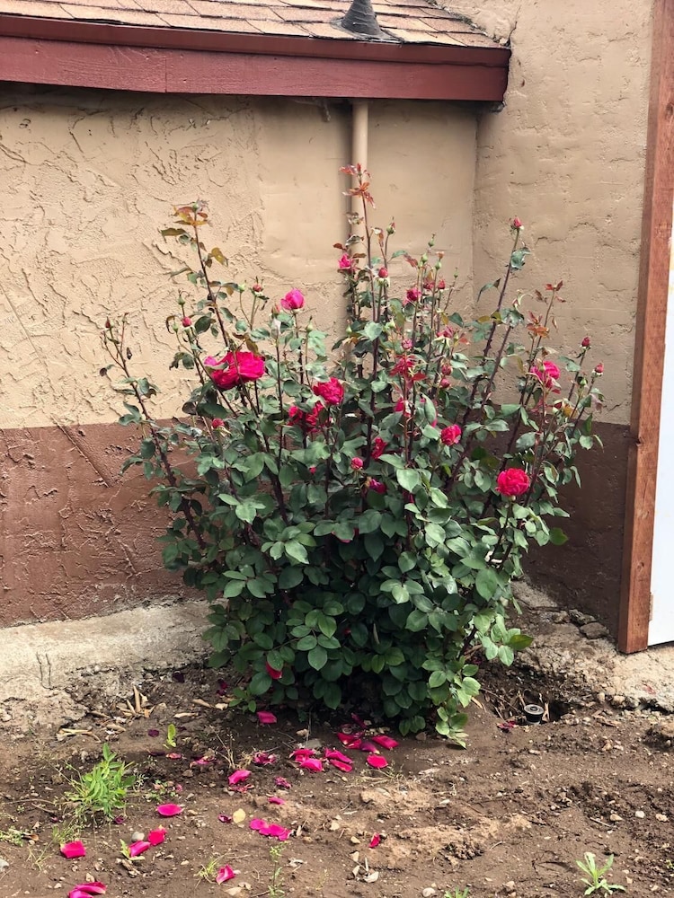 Haven Inn Of Chico — foto 5