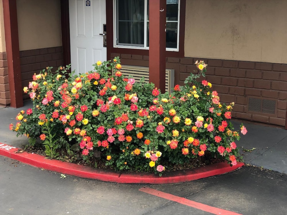 Haven Inn Of Chico — foto 2